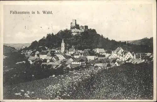 Falkenstein Oberpfalz Wald / Falkenstein /Cham LKR