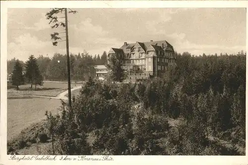 Gabelbach Thueringen Berghotel bei Ilmenau Kat. Langewiesen