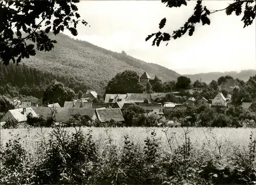 Grillenberg  Kat. Sangerhausen