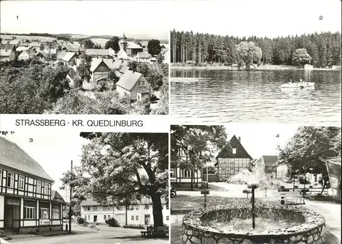 Strassberg Harzgerode Treuer Nachbarteich Lindenhof Springbrunnen / Harzgerode /Harz LKR