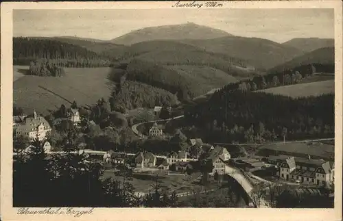 Blauenthal Erzgebirge Hotel Parkrestaurant Forelle / Eibenstock /Erzgebirgskreis LKR