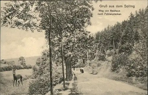 Fohlenplacken Reh Kat. Holzminden