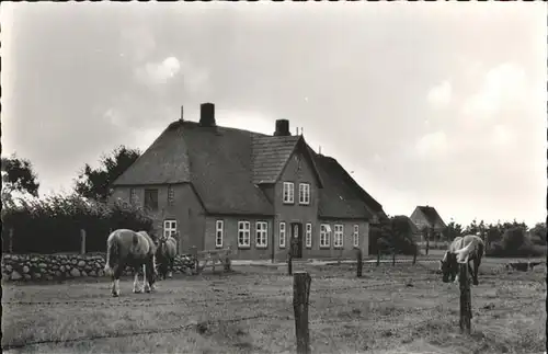 Utersum Bauernhof Kat. Utersum