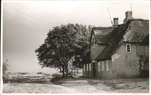 Nieblum  / Nieblum Insel Foehr /Nordfriesland LKR