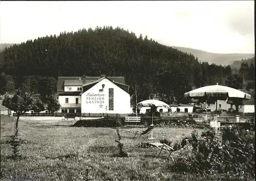 Thierbach Bad Steben Pension Faunken Kat. Bad Steben