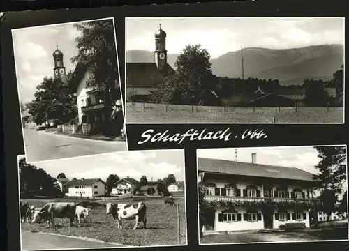 Schaftlach Kirche Kuehe Kat. Waakirchen