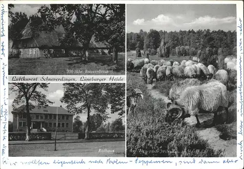 Schneverdingen 300 jaehr. Bauernhaus Rathaus Schafe Kat. Schneverdingen