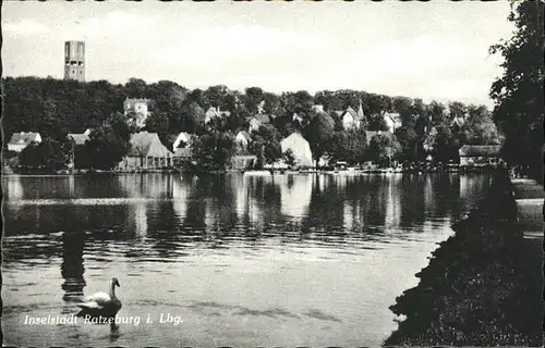 Ratzeburg Inselstadt Schwan  Kat. Ratzeburg