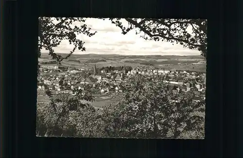 Birkenfeld Nahe Blick auf Birkenfeld Kat. Birkenfeld