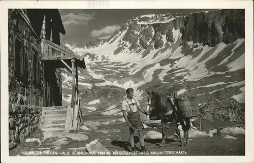 Tauern Mallnitzer Tuaern A. V. Schmidhaus Pferd Tracht