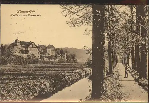 Koenigsbrueck Partie an der Promenade Feldpost Kat. Koenigsbrueck