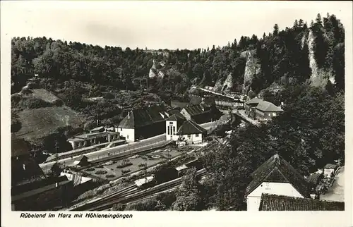 Ruebeland Harz Hoehleneingang / Elbingerode Harz /Harz LKR