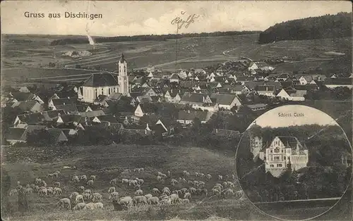 Dischingen Schloss Taxis Schafherde Schaefer Kat. Dischingen