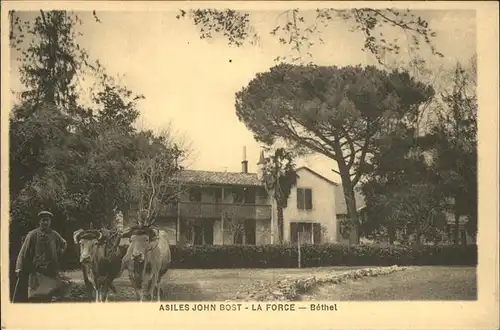 La Force Dordogne Asiles John Bost Bethel Kat. La Force