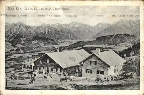 Sonthofen Oberallgaeu Alpe Eck Kuehe / Sonthofen /Oberallgaeu LKR