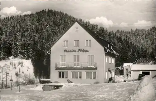 Warmensteinach Pension Poehner