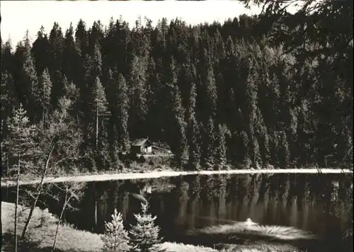 Schoenmuenzach Schurmsee Murgtal *