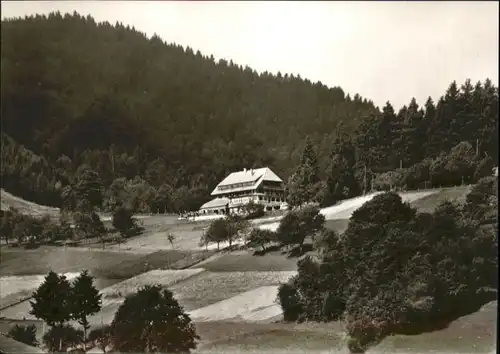 wu78655 Neuenweg Neuenweg Gasthof Pension Haldenhof * Kategorie. Neuenweg Alte Ansichtskarten