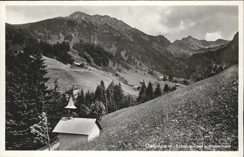 Oberstdorf Gaisalpe Nebelhorn Kat. Oberstdorf