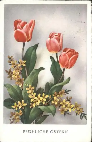 Ostern Easter Paques Tulpen / Greetings /