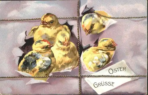 Ostern Easter Paques Kueken / Greetings /