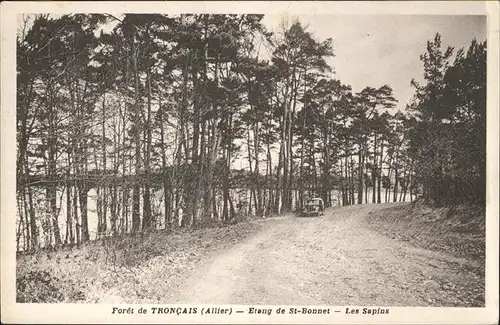 Saint-Bonnet-Troncais Etang de St. Bonnet Les Sapins Kat. Saint-Bonnet-Troncais