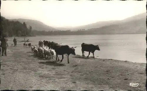 Le Lac-d Issarles Le Lac-d'Issarles Schaf Rind * / Le Lac-d Issarles /Arrond. de Largentiere