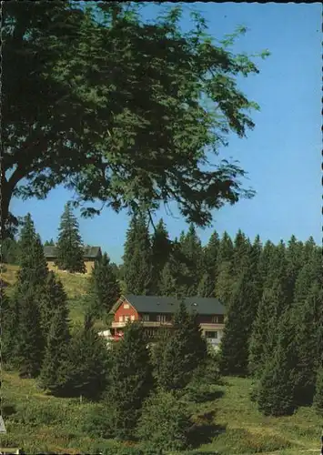 Feldberg Schwarzwald Gasthaus Pension Zum Auerhahn A. Lais Kat. Feldberg (Schwarzwald)