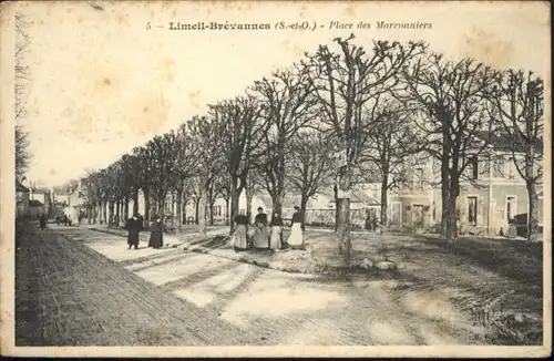 Limeil-Brevannes Place des Marronniers *