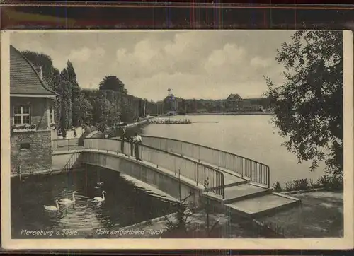 Merseburg Saale Motiv am Gotthardteich Bruecke Schwan Kat. Merseburg