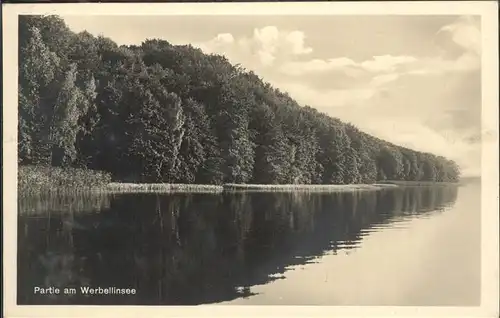 Altenhof Eberswalde Partie am Werbellinsee Kat. Schorfheide