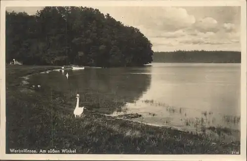 Altenhof Eberswalde Am suessen Winkel Werbellinsee Ente Kat. Schorfheide