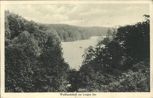 Bad Freienwalde Waldlandschaft am Langen See Kat. Bad Freienwalde