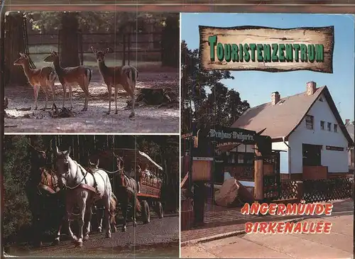 Angermuende Rehe Pferdewagen Weinhaus Birkenallee Kat. Angermuende