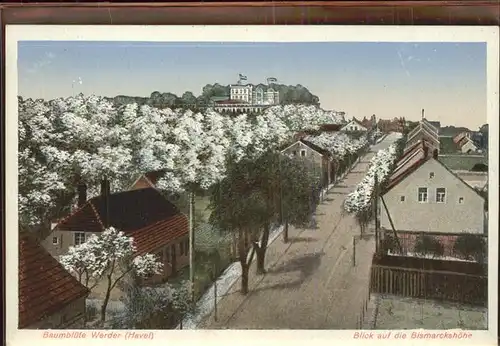 Werder Havel Strassenansicht mit Blick auf die Bismarckhoehe Kat. Werder