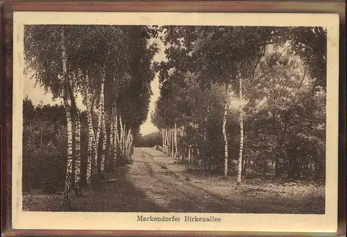 Markendorf Jueterbog Birkenallee Feldpost Kat. Jueterbog