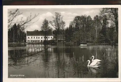 Altengrabow See Schwaene Kat. Magdeburgerforth