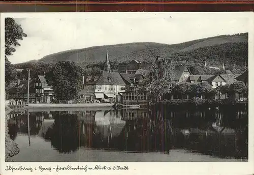 Ilsenburg Harz Forellenteich mit Stadtblick Kat. Ilsenburg Harz