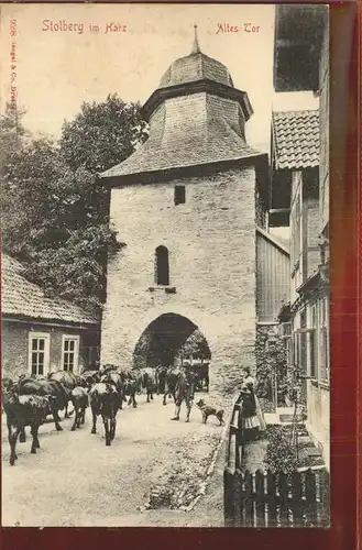 Stolberg Harz Altes Tor Rittergasse Turm Kuh Viehtrieb Kat. Stolberg Harz