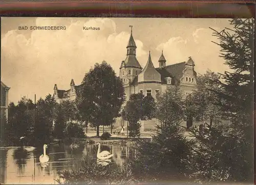 Bad Schmiedeberg Kurhaus Schwanenteich Kat. Bad Schmiedeberg