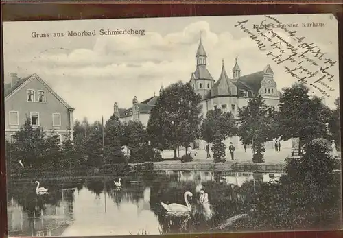 Bad Schmiedeberg Kurhaus Schwanenteich Kat. Bad Schmiedeberg