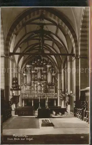 Merseburg Saale Orgel im Dom Kat. Merseburg