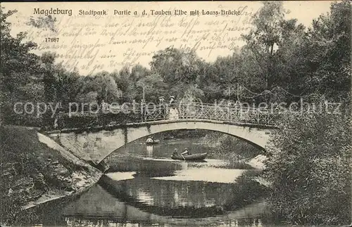 Magdeburg Stadtpark Tauben Elbe Laassbruecke Kat. Magdeburg