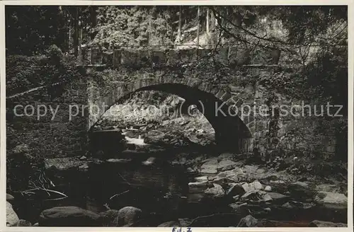 Elend Harz Bodebruecke im Elendtal Kat. Elend Harz