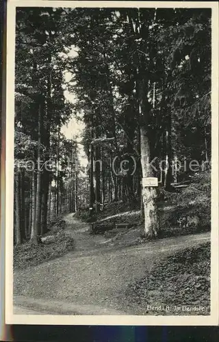 Elend Harz Im Wald Kat. Elend Harz