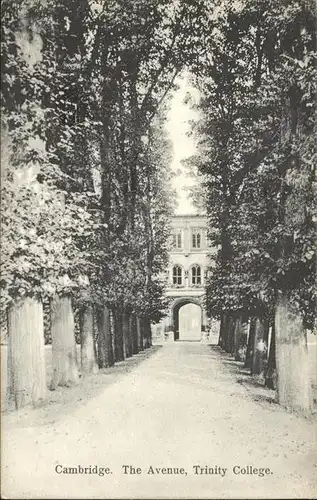 Cambridge Cambridgeshire Avenue Trinity College / Cambridge /Cambridgeshire CC