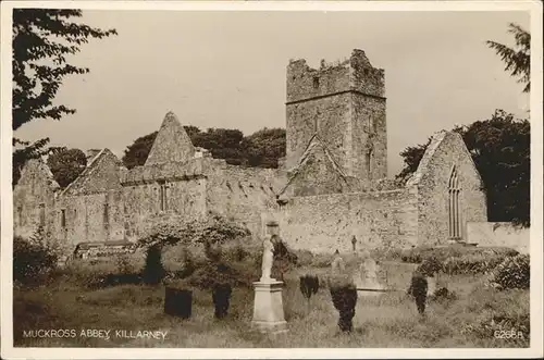 Killarney Kerry Muckross Abbey Kat. Killarney