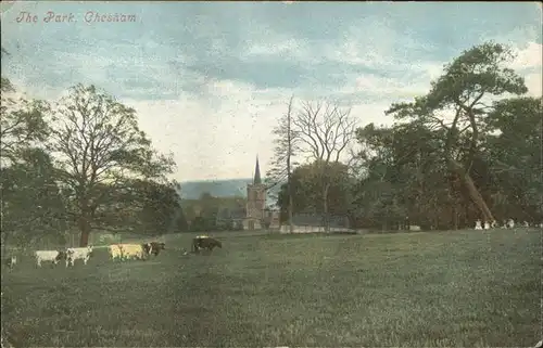 Chesham Bois & Weedon Hill Park Kuehe Kat. Chiltern