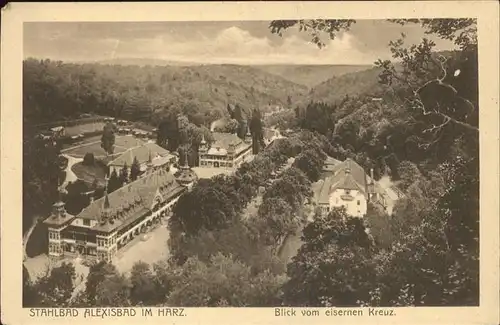 Alexisbad Harz Blick vom Eisernen Kreuz Kat. Harzgerode