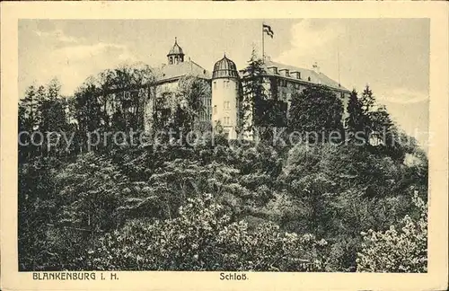 Blankenburg Harz Schloss Kat. Blankenburg